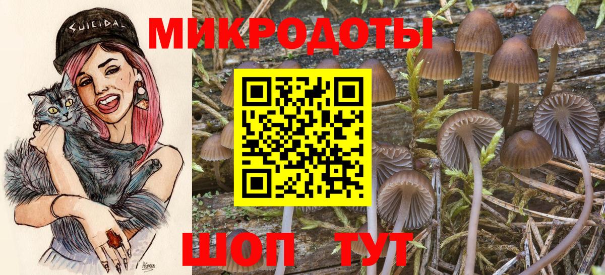 Псилоцибиновые грибы Magic Shrooms Гуково
